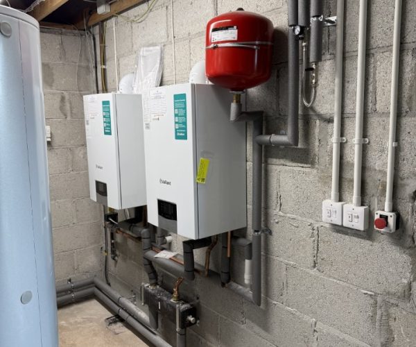 65339d65-15e5-4703-9b36-1acd3e5d81b6